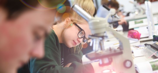 Student studying in a biology class
