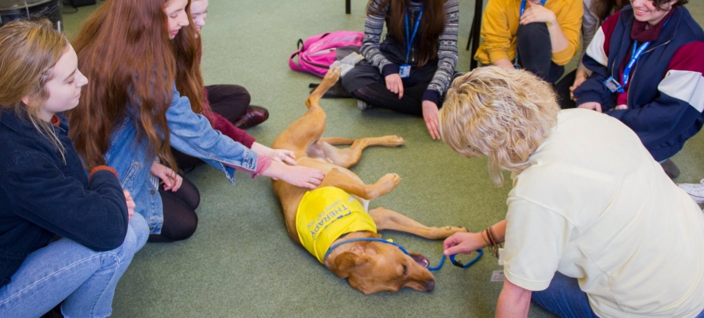 Students with Pets as Therapy dog